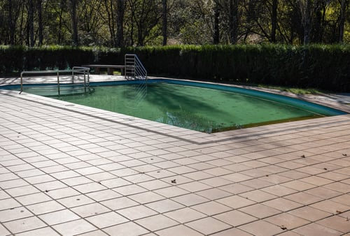Green Pool Recovery